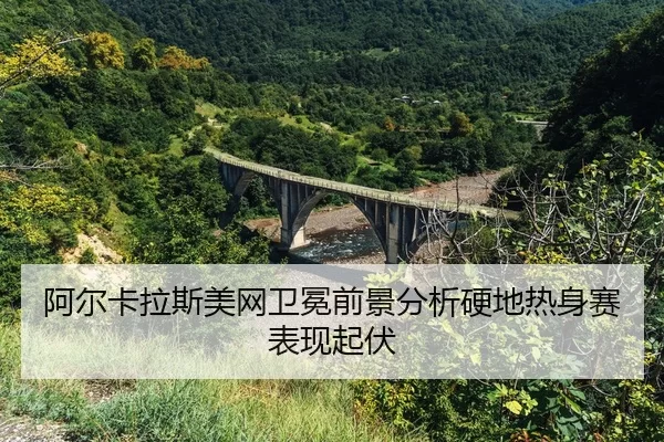a-er-ka-la-si-mei-wang-wei-mian-qian-jing-fen-xi-ying-di-re-shen-sai-biao-xian-qi-fu-2-850.jpg