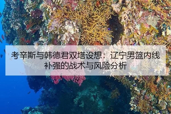 kao-xin-si-yu-han-de-jun-shuang-ta-she-xiang-liao-ning-nan-lan-nei-xian-bu-qiang-de-zhan-shu-yu-feng-xian-fen-xi-1-822.jpg